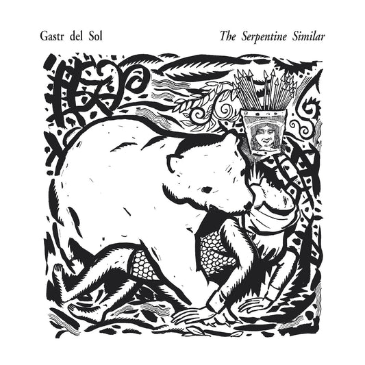 Gastr Del Sol - Serpentine Similar