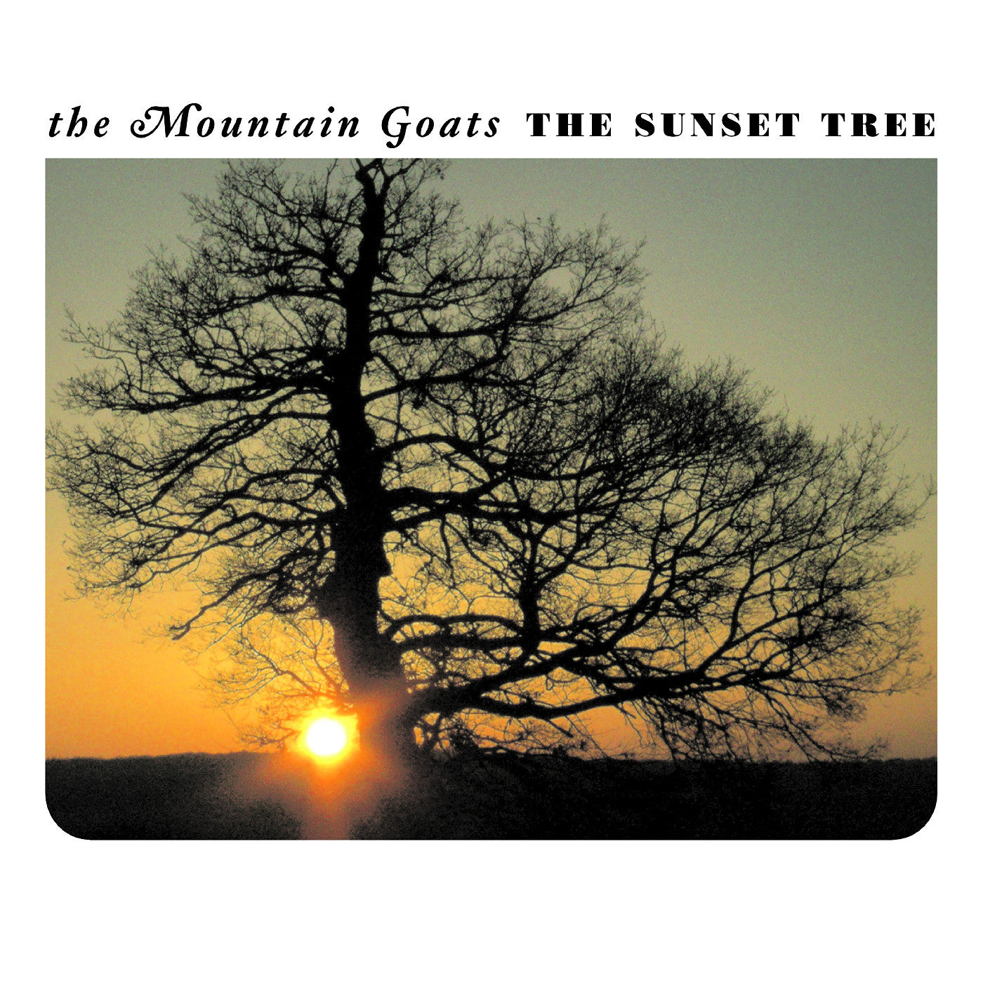 The Mountain Goats - The Sunset Tree