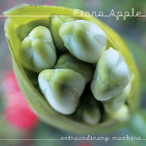 the album cover for Fiona Apple - Extraordinary Machine