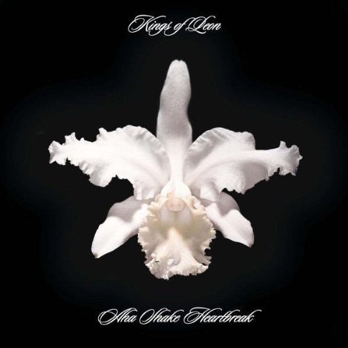 the album cover for Kings Of Leon - Aha Shake Heartbreak