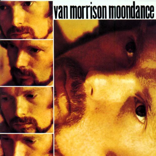 the album cover for Van Morrison - Moondance