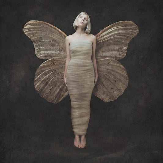 AURORA - All My Demons Greeting Me As A Friend [LP]