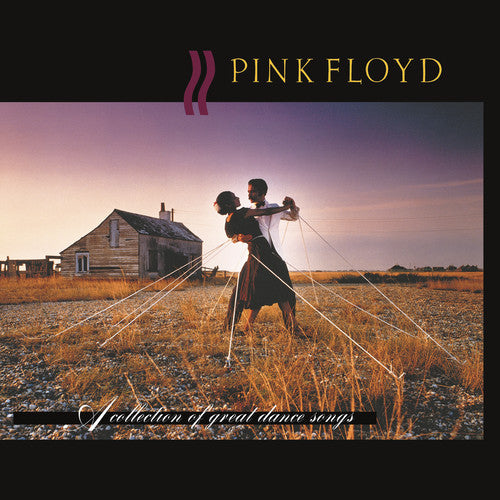 the album cover for Pink Floyd - A Collection of Great Dance Songs [LP]