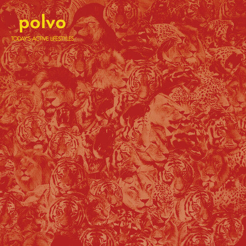 Polvo - Today's Active Lifestyles