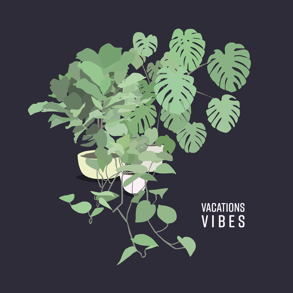 the album cover for Vacations - Vibes (Mod)