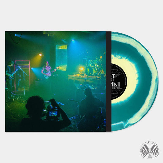 Post Animal - Levitation Sessions [Indie Exclusive Limited Edition Emerald Green/Yellow Swirl LP]