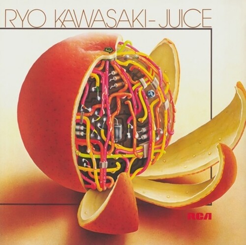 Ryo Kawasaki - Juice