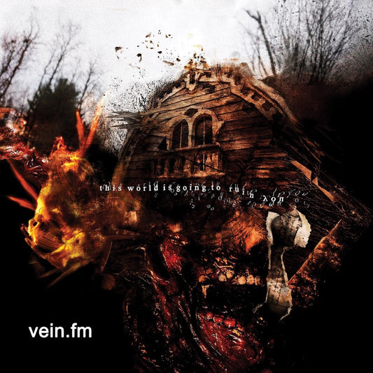 Vein.Fm - This World Is Going To Ruin You [Indie Exclusive Limited Edition Metallic Gold, Clear & Black Striped LP]