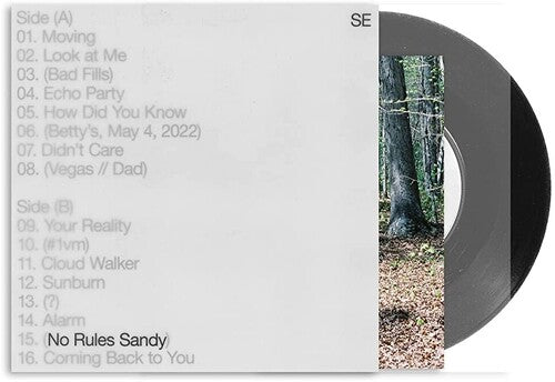 Sylvan Esso – No Rules Sandy