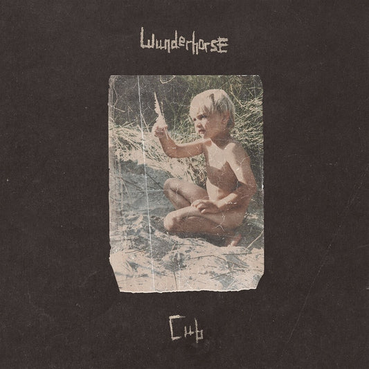 the album cover for Wunderhorse - Cub