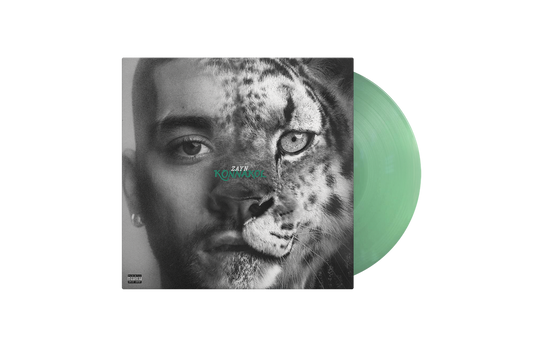 the album cover for Zayn - KONNAKOL [Swimming Through Seas]