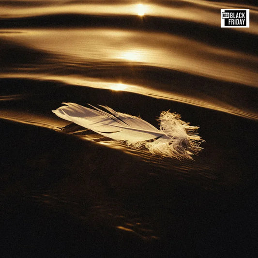 Said the Sky - Icarus & I (Deluxe) [RSD BF 2026]