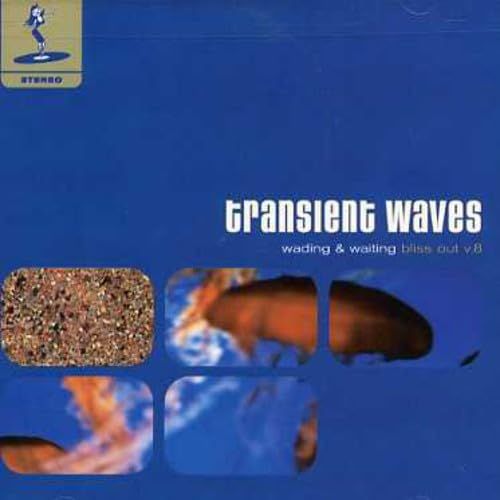 Transient Waves – Wading & Waiting (Bliss Out V.8) CD