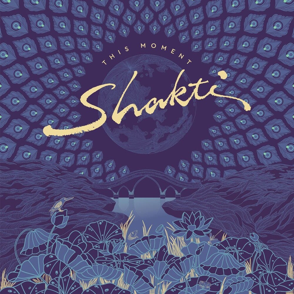 the album cover for Shakti - This Moment