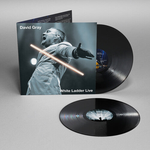 David Gray - White Ladder Live