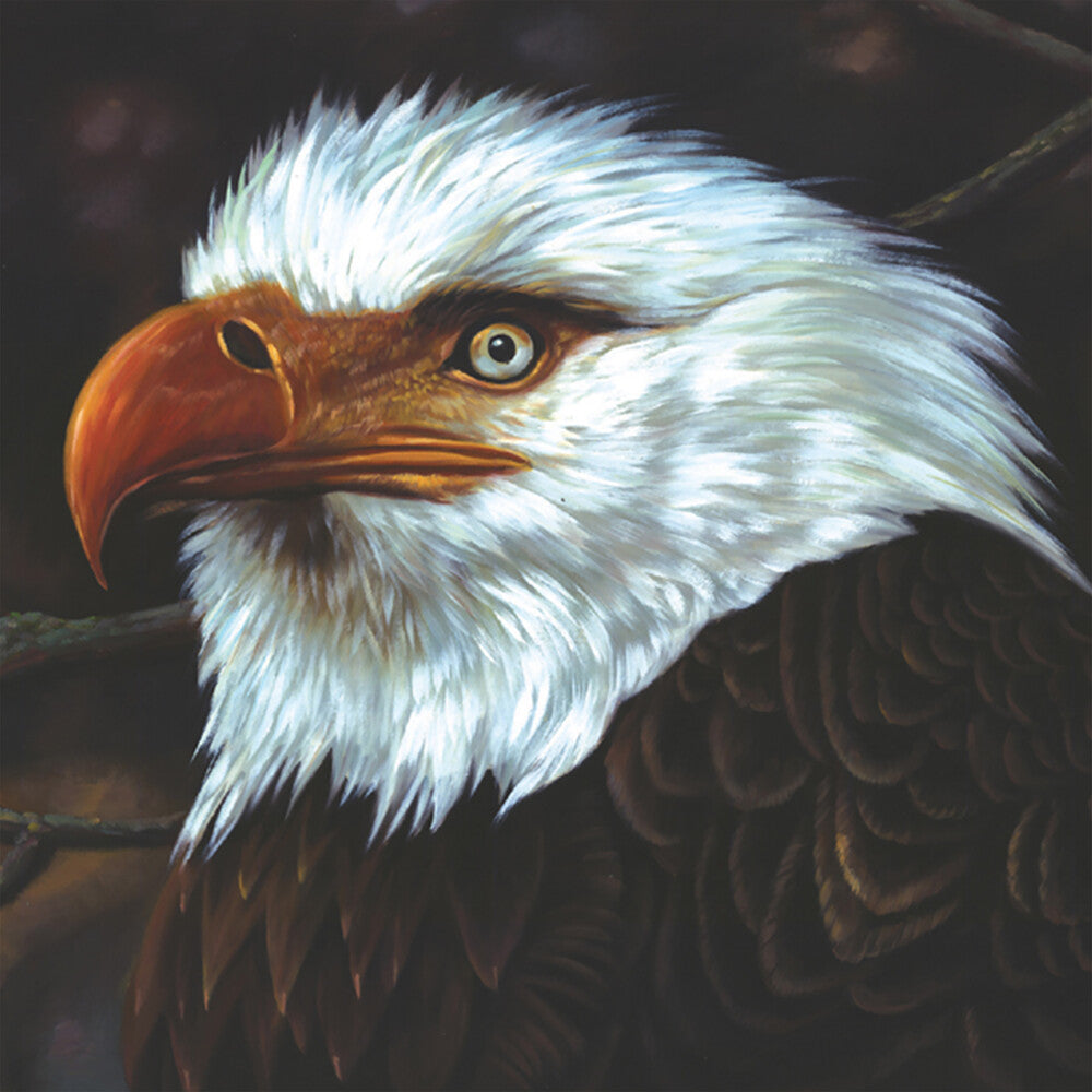 the album cover for Mogwai - Hawk Is Howling [Colored Vinyl] (Wht) [Reissue]