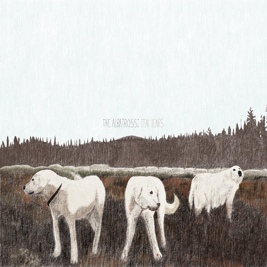 Foxing - Albatross: Ten Years (Brwn) [Colored Vinyl]