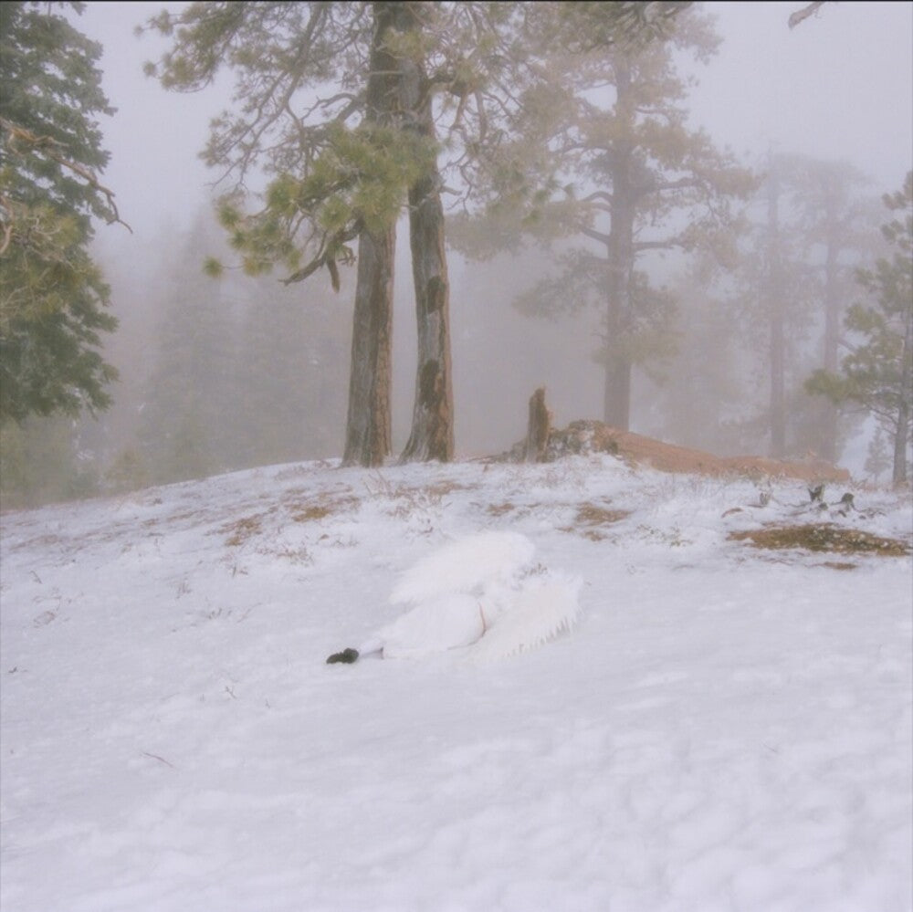 the album cover for Wisp - Pandora (Ep)