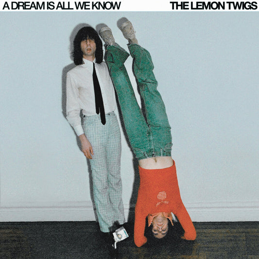 Lemon Twigs - Dream Is All We Know