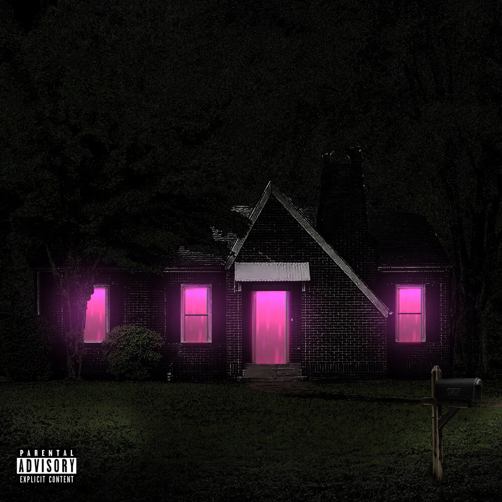 the album cover for Future - Mixtape Pluto [LP]