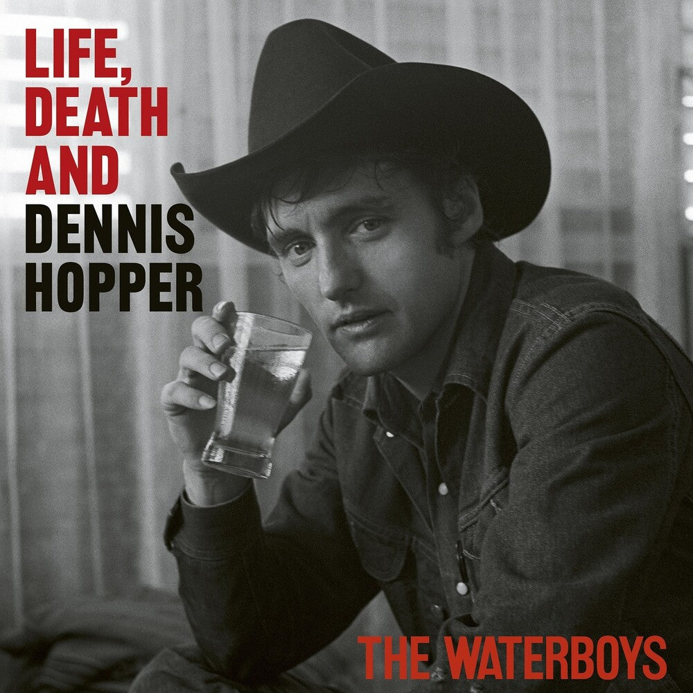 Waterboys - Life Death And Dennis Hopper