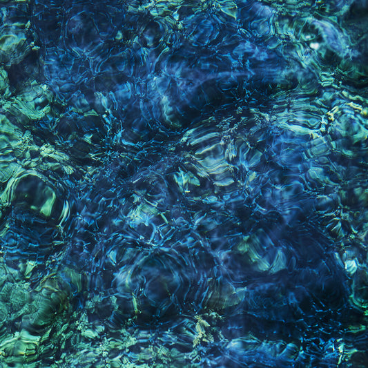 the album cover for Ichiko Aoba - Luminescent Creatures