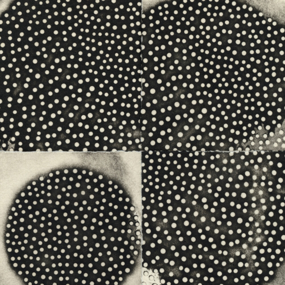 K Leimer . - Proximate Forms