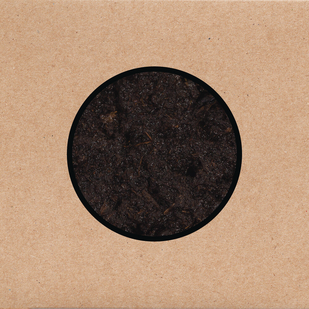 the album cover for Swans - Birthing