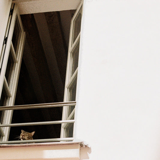 the album cover for M(H)Aol - Something Soft