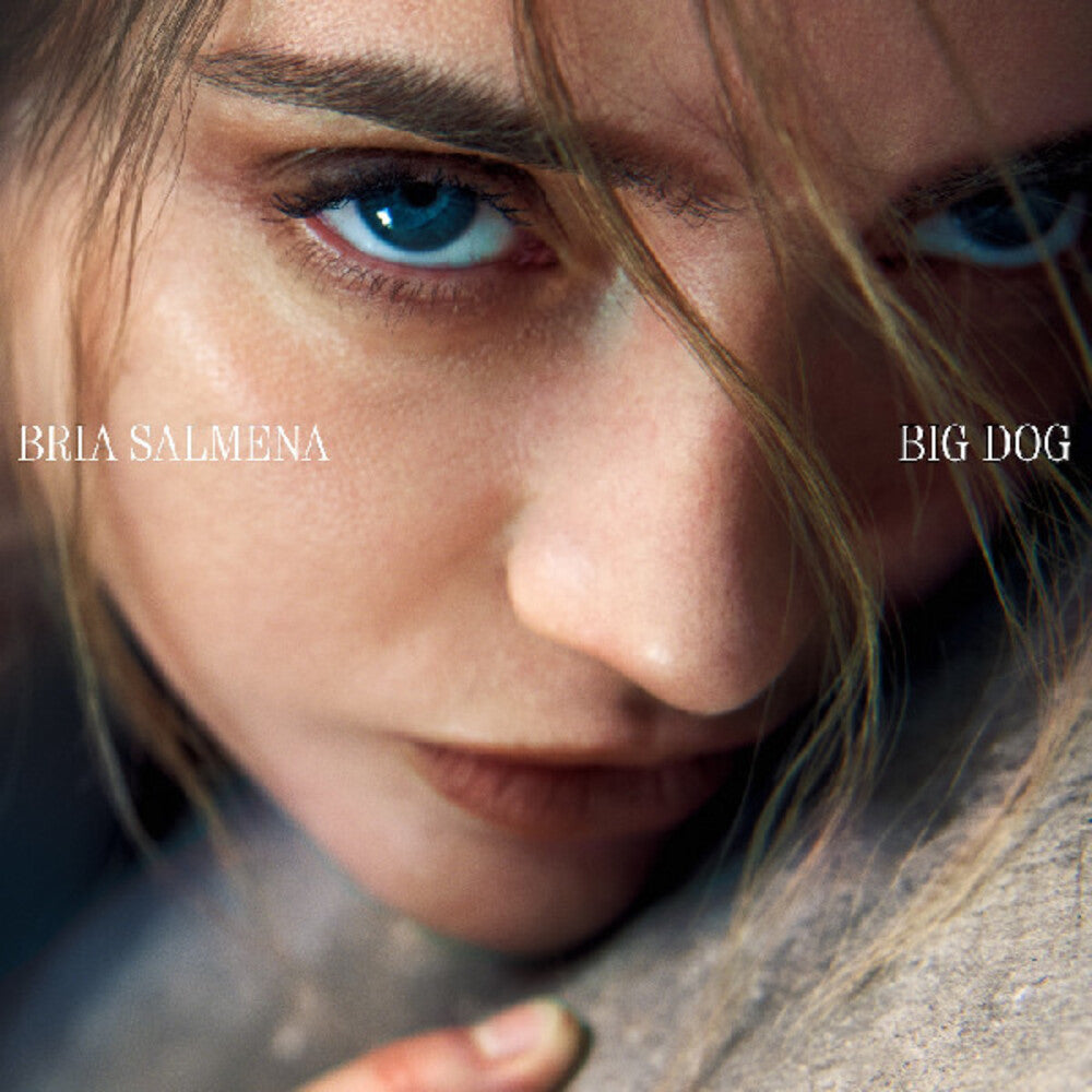 the album cover for Salmena, Bria - Big Dog