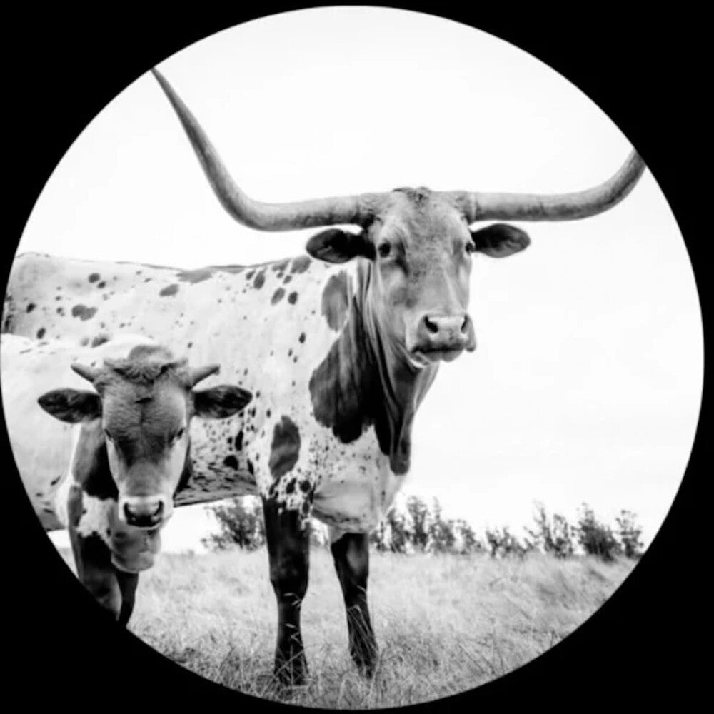 Mike Flanigin - West Texas Blues (Pict) (Pcrd)