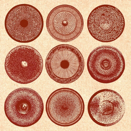 the album cover for Ensemble Nist-Nah - Spilla