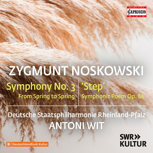 the album cover for Deutsche Staatsphilharmonie Rheinland-Pfalz - Zygmunt Noskowski: Sym No. 3