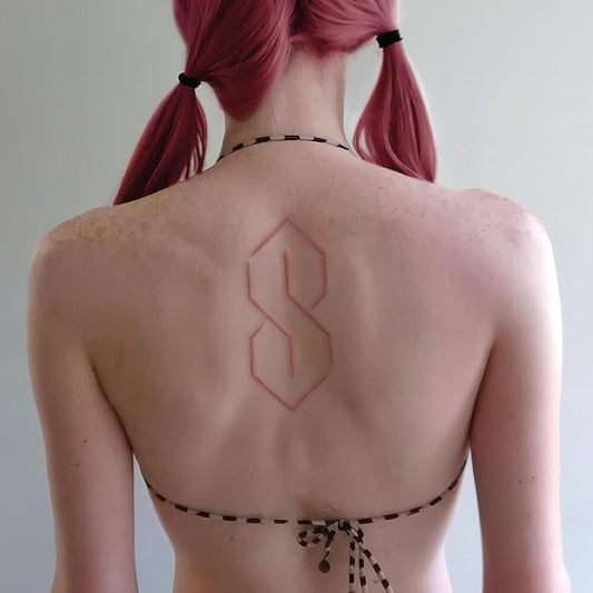 the album cover for Frost Children - SISTER