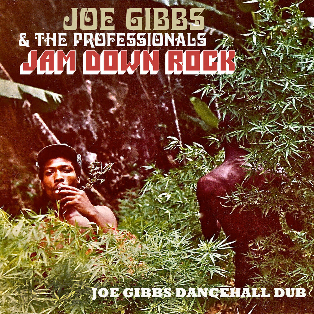 the album cover for Joe Gibbs  & The Professionals - Jam Down Rock: Joe Gibbs Dancehall Dub (Uk)