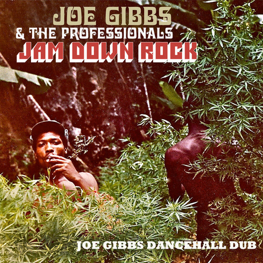 the album cover for Joe Gibbs  & The Professionals - Jam Down Rock: Joe Gibbs Dancehall Dub (Uk)