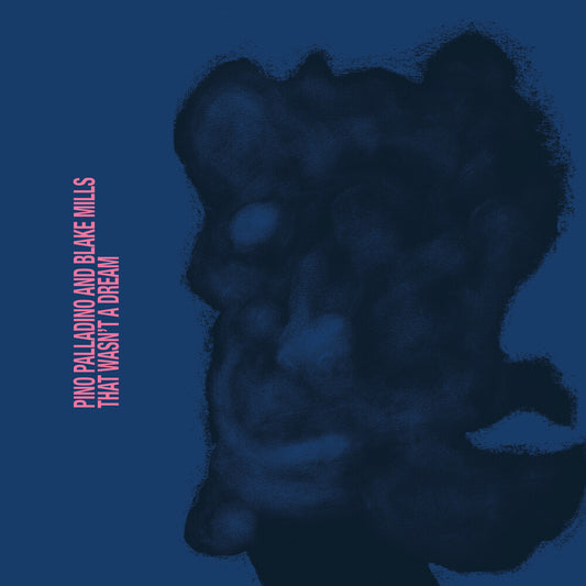 Palladino, Pino / Mills, Blake - That Wasn't A Dream