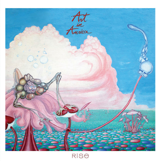 the album cover for Art In America - Rise