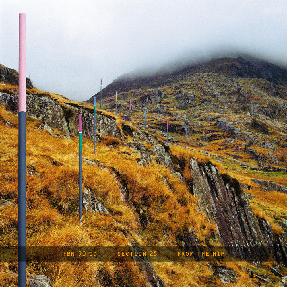 Section 25 - From The Hip (Box) [With Booklet] [Remastered]