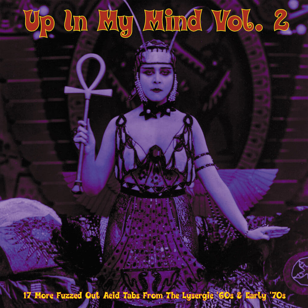Up In My Mind Vol 2: 17 More Fuzzed Out Acid / Var - Up In My Mind Vol 2: 17 More Fuzzed Out Acid / Var