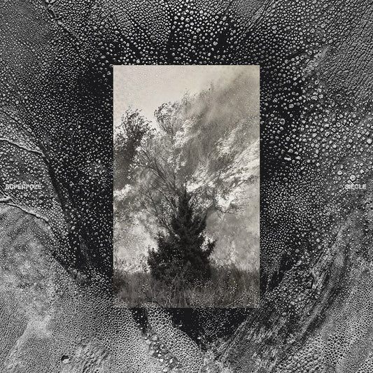 Pre-Order: Superpoze - Siecle