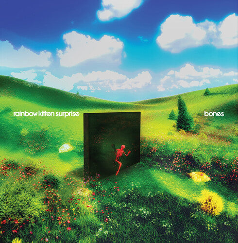 Rainbow Kitten Surprise - Bones (banana vinyl)