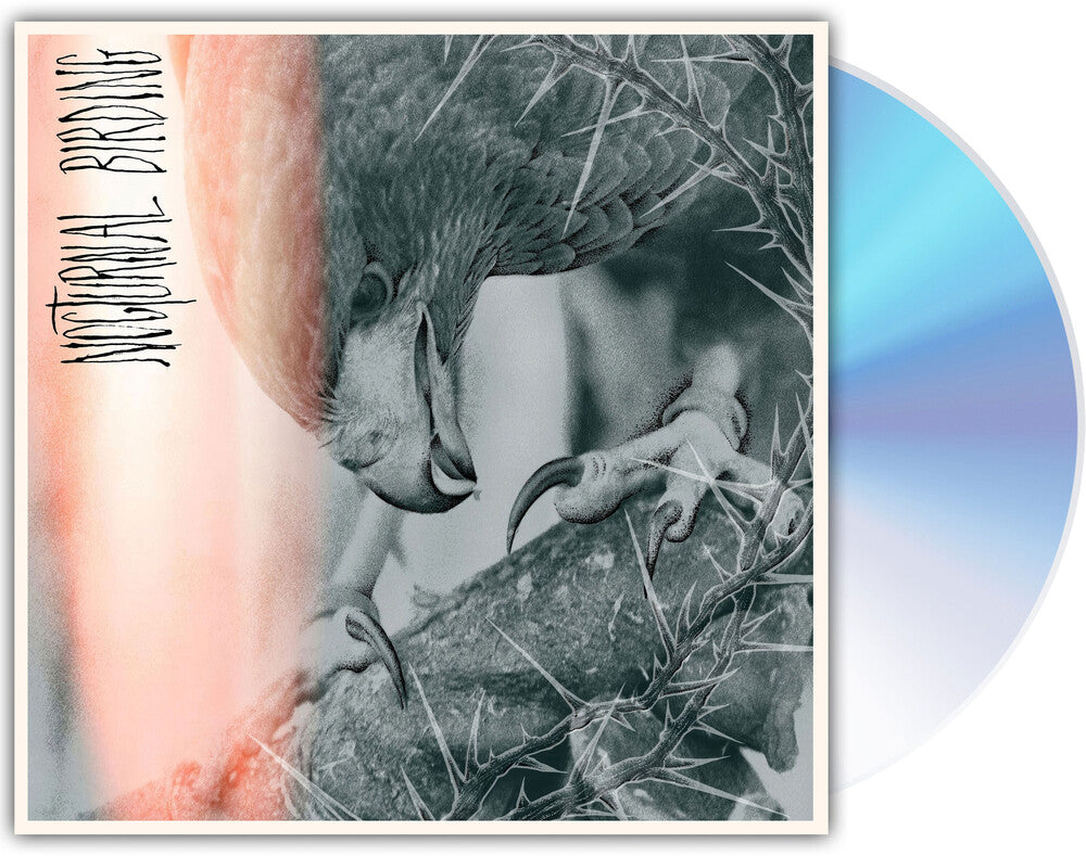 Author & Punisher - Nocturnal Birding