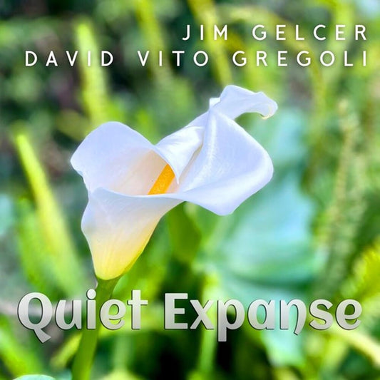 the album cover for Jim Gelcer  / Gregoli,David Vito - Quiet Expanse (Wal) (Eco)