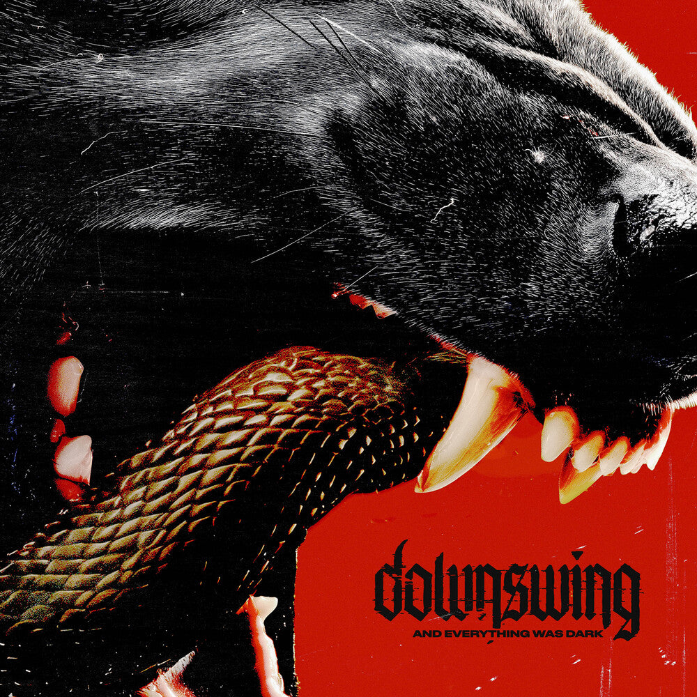 Downswing - & Everything Was Dark
