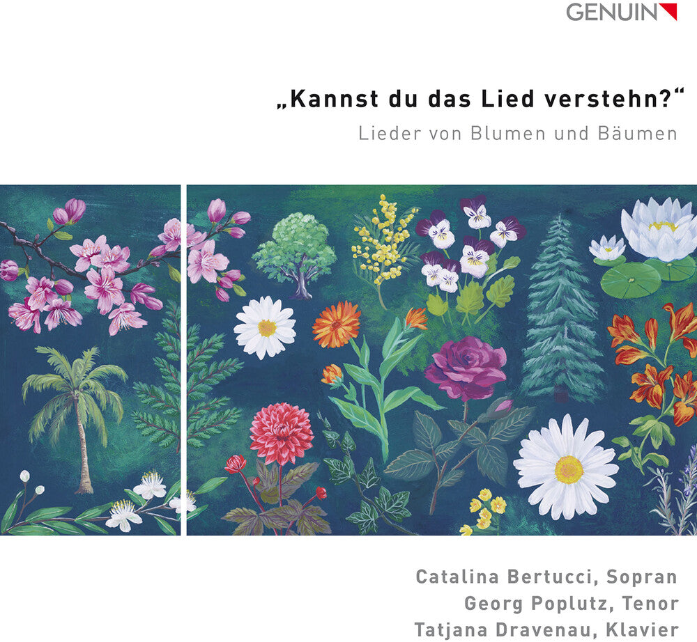 Catalina Bertucci - Kannst Du Das Lied Verstehn?