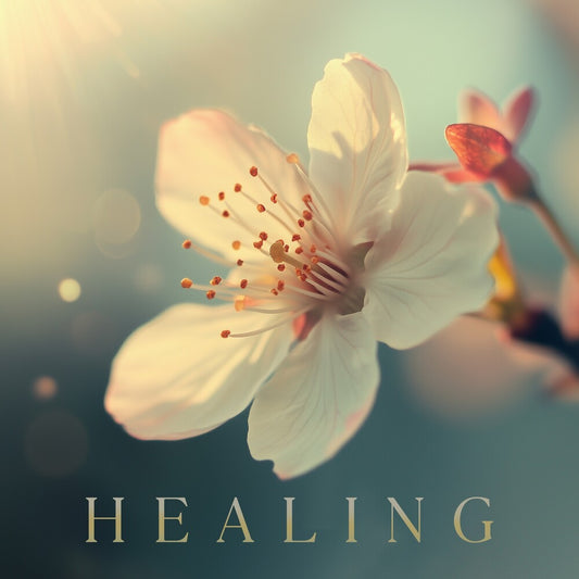 Healing / Various - Healing / Various
