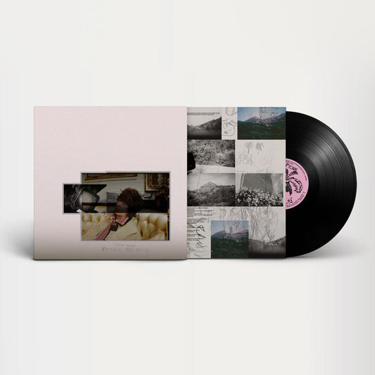 Fionn Regan - O Avalanche