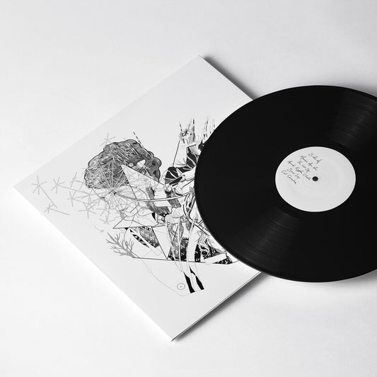 Jesca Hoop - Selective Memory