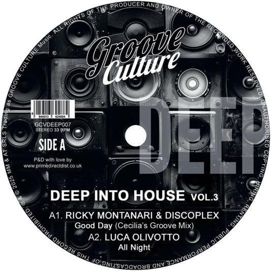 Deep Into House Vol. 3 / Various - Deep Into House Vol. 3 / Various